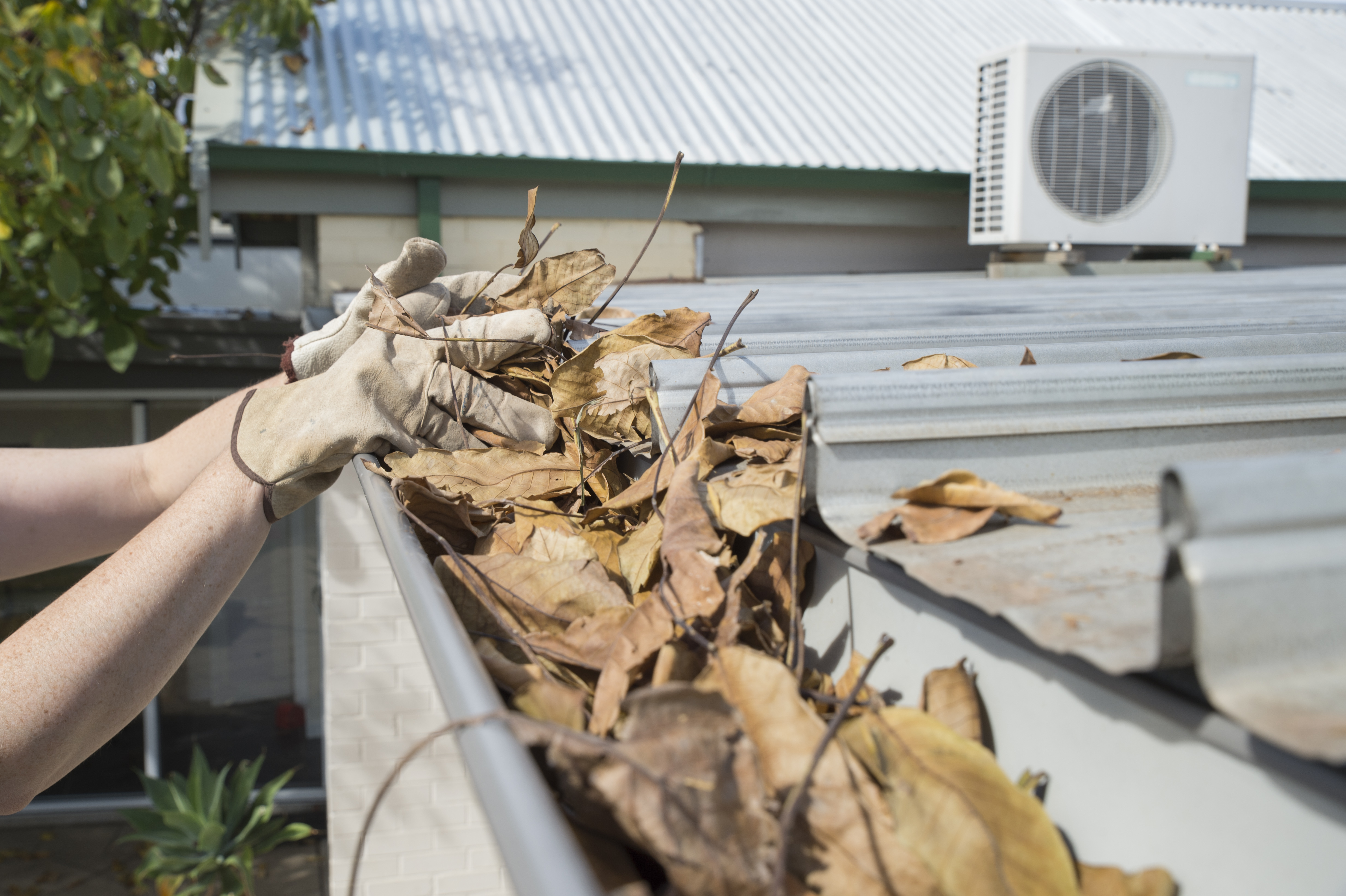 Gutters Filled with Debris